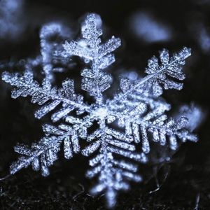 Meet your Posher, Jasmina